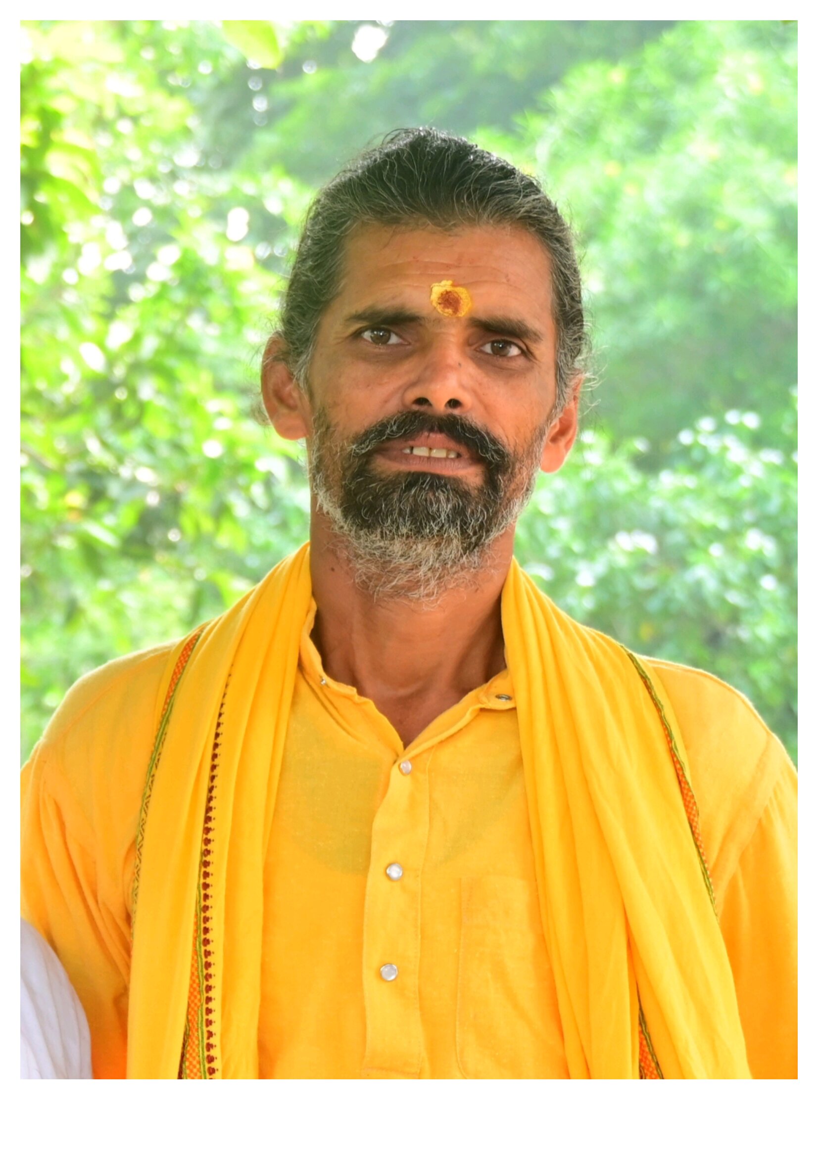 समाचार लेख